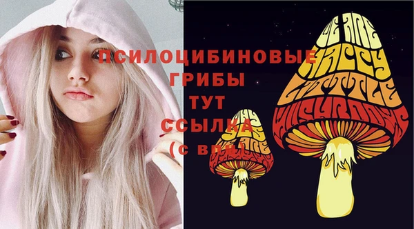 ECSTASY Алексин