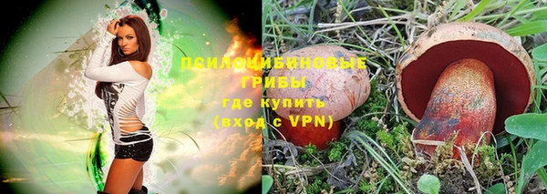 ешки Абинск