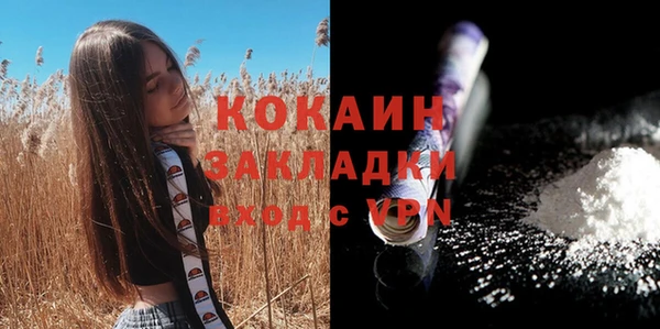 Альфа ПВП Няндома